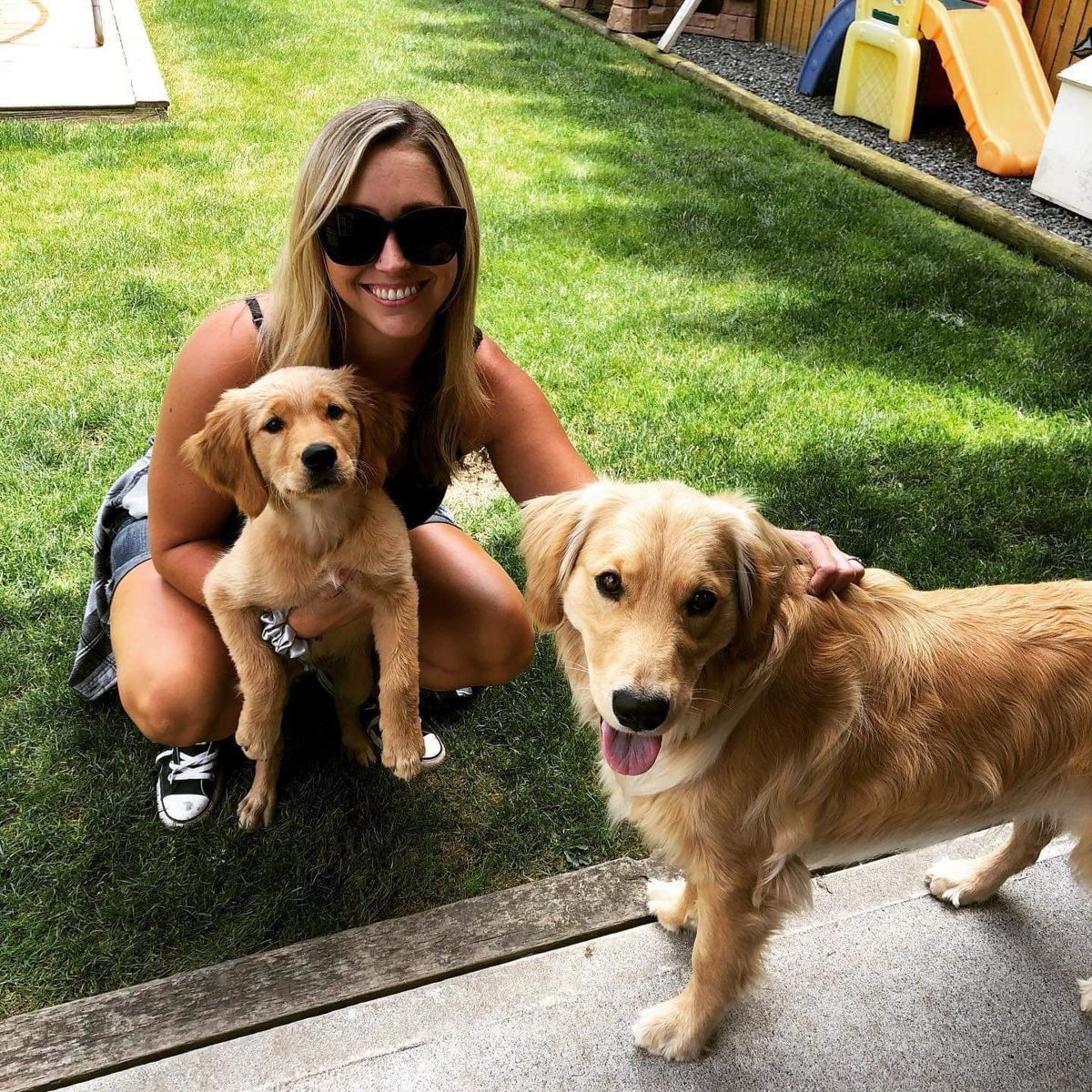 A woman on the lawn with her golden puppy and grown golden